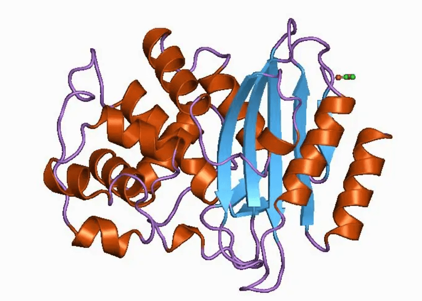 截图20220420092415_副本.png 截图20220420092415_副本.png