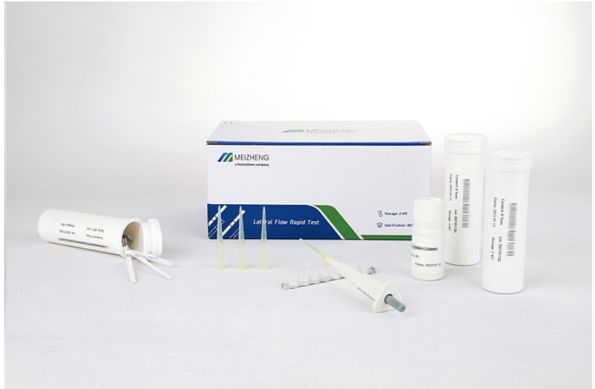 Amoxicillin Rapid Test Kit 