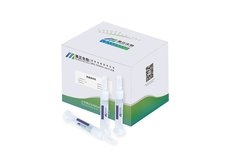 20231123163236_2l35q3ebjf.jpg 20231123163236_2l35q3ebjf.jpg