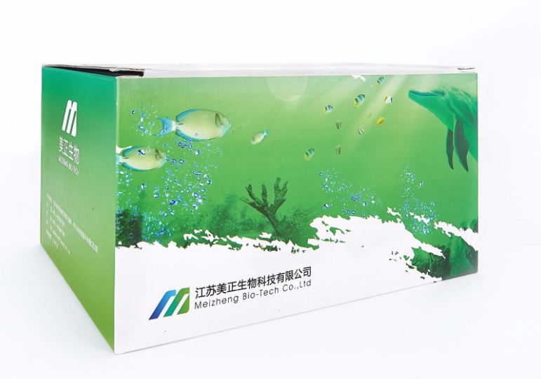 微信截图_20250320102003.png 微信截图_20250320102003.png