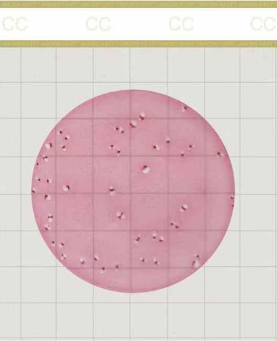 微信截图_20250327093334.png 微信截图_20250327093334.png