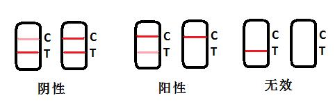 丁香酚快速检测卡