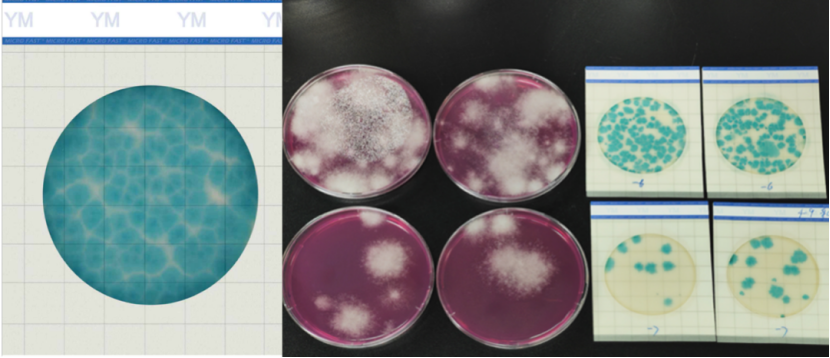 微信图片_20250825150811_224_192.png 微信图片_20250825150811_224_192.png